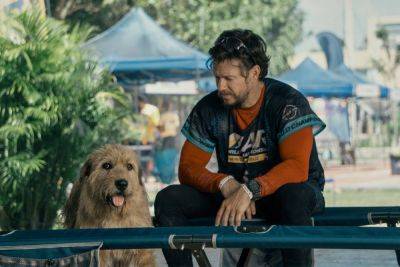 ‘Arthur The King’ Trailer: Mark Wahlberg Stars In An Inspirational Film About An Adventure Racer & His Dog - theplaylist.net