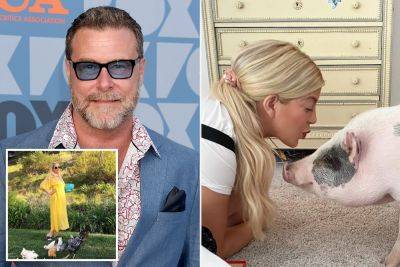 Dean McDermott says Tori Spelling invited her pet pig into their bed —ruining the marriage - nypost.com