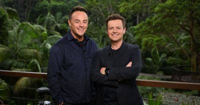 ITV I'm A Celeb's Dec Donnelly reveals Bushtucker trial mishap left him in physio for six months - www.ok.co.uk - Santa