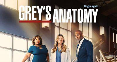 'Grey's Anatomy' Cast for Upcoming Season 20: 6 Stars Confirmed, 5 Others Expected to Return, 2 Actors' Fates Unknown, 4 Stars Not Coming Back - www.justjared.com