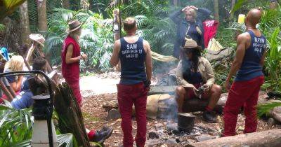 ITV I'm A Celebrity camp is in 'fake jungle' with home comforts and 'roof' - www.dailyrecord.co.uk