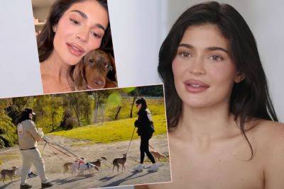Kylie Jenner DRAGGED For Flaunting 'Dog Nanny' For Her SEVEN Dogs! - perezhilton.com