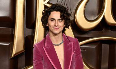 Timothee Chalamet Wears Pink Velvet Suit with No Shirt at 'Wonka' World Premiere! - www.justjared.com - county Hall