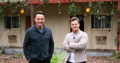I'm A Celebrity fans rush to complain as Ant McPartlin and Dec Donnelly share 'distracted' message - www.manchestereveningnews.co.uk - Manchester