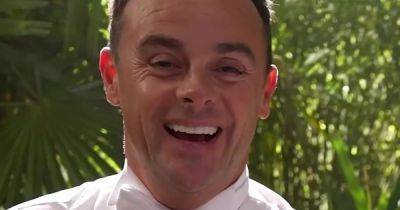 Ant and Dec 'petrified' by huge snake while filming promo for I'm A Celeb - www.ok.co.uk - Australia