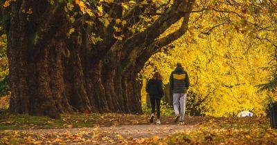 The unassuming Greater Manchester park with spectacular autumn scenery - www.manchestereveningnews.co.uk - Manchester - county Oldham