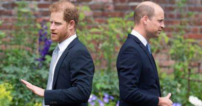 Prince Harry's failed attempt to 'replace William' in the spotlight has backfired - www.dailyrecord.co.uk - USA