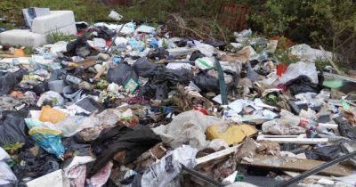 Fly-tipper who advertised on Facebook fined for dumping rubbish on council land - www.manchestereveningnews.co.uk - Manchester