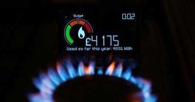 Scots energy giants among six firms ordered to pay out £10m for missing smart meter targets - www.dailyrecord.co.uk - Britain - Scotland - Beyond