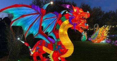 Giant animal lanterns will make Gulliver's World glow with Land of Lights festival this Christmas - www.manchestereveningnews.co.uk - Manchester