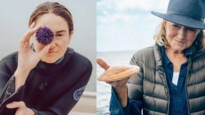 Shailene Woodley & Martha Stewart Join David E. Kelley’s ‘Hope In The Water’ As Docuseries Lands At PBS - deadline.com - California