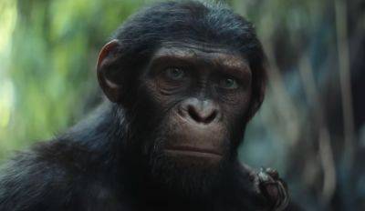 ‘Kingdom of the Planet of the Apes’ Marketing Launches to 100 Million Viewers With First Trailer and Tease (EXCLUSIVE) - variety.com