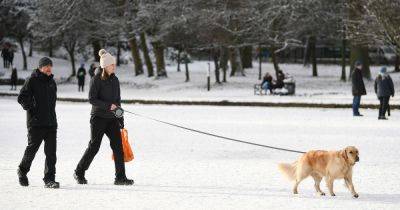 What temperature is too cold to walk your dog amid cold snap and icy weather - www.dailyrecord.co.uk