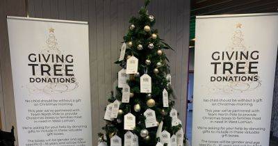 Livingston Designer Outlet launch 'Giving Tree' initiative for Christmas - www.dailyrecord.co.uk - city Livingston