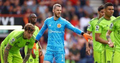 Robbie Savage gives verdict on whether Manchester United should re-sign David de Gea - www.manchestereveningnews.co.uk - Manchester - Cameroon