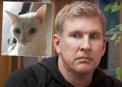 Feds BLAST Todd Chrisley's Dead Cat Story & Other Prison Condition Claims! - perezhilton.com - USA - Florida - county Camp - city Pensacola, state Florida