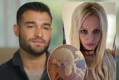 Did Sam Asghari Take A Jab At Britney Spears In A New PETA Campaign?! - perezhilton.com