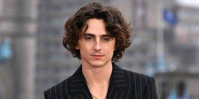 Timothee Chalamet's Top 10 Movies, Ranked According to Critics - www.justjared.com