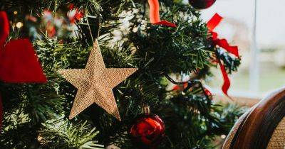 Exact date you should take down Christmas tree as 'bad luck' and 'evil spirits' could remain - www.dailyrecord.co.uk - Beyond