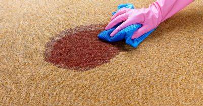 Cheap £1.19 cleaning hack to eradicate carpet stains better than traditional cleaner - www.dailyrecord.co.uk - Beyond