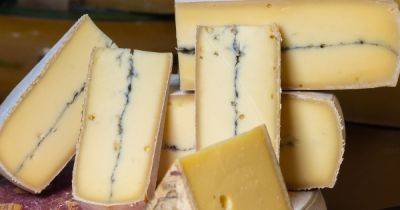 Person dies after E.Coli outbreak linked to cheese - www.manchestereveningnews.co.uk - Britain - Scotland - Manchester