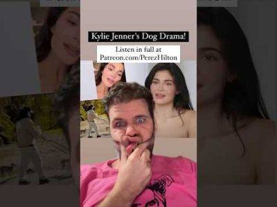 Kylie Jenner's Dog Drama! | Perez Hilton - perezhilton.com