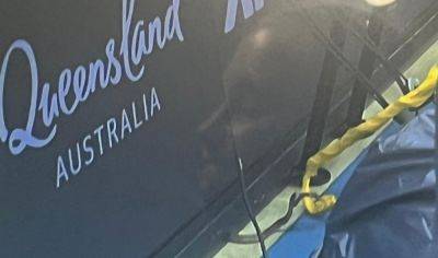 Snake Stops Play, Sneaking Onto Court During Brisbane International Tennis Match - deadline.com - Australia - Britain - Austria - city Melbourne