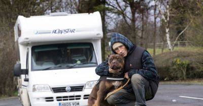 XL Bully owner moves to Scotland to protect his dog before ban in England - www.dailyrecord.co.uk - Scotland - London - Beyond