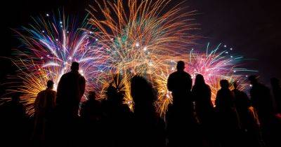 Fire Brigade and police unions call for UK Government to restrict sale of fireworks - www.dailyrecord.co.uk - Britain - Scotland