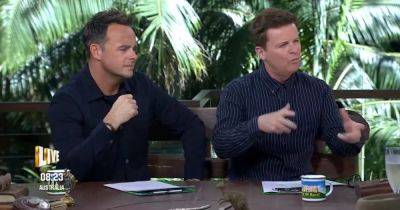 ITV I'm A Celebrity fans determined Ant and Dec hate one 2023 campmate - www.dailyrecord.co.uk