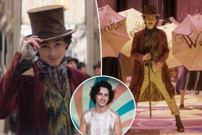 Timothée Chalamet was worried that ‘Wonka’ was initially a ‘cynical money grab’ - nypost.com