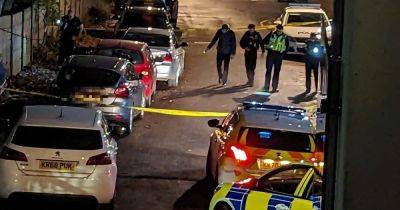 Police update after gang attack man and bundle him into BMW in kidnapping - www.manchestereveningnews.co.uk - Manchester