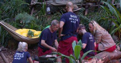 ITV I'm A Celebrity fans say it'll be 'disappointment' if one campmate doesn't win after spotting pattern - www.manchestereveningnews.co.uk - Manchester