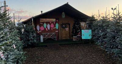 The festive farm in Greater Manchester that will get you ready for Christmas - www.manchestereveningnews.co.uk - Manchester - Santa - county Oldham