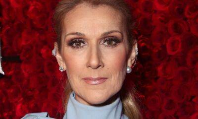 Celine Dion's fan wish her well as she returns to social media for special reason - hellomagazine.com