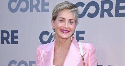 Sharon Stone pays tribute to late brother Patrick in emotional video - www.msn.com - Pennsylvania - county Stone - county Patrick
