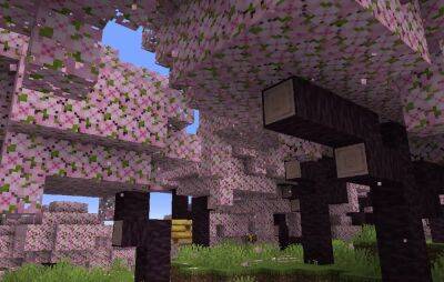 ‘Minecraft’ is getting a cherry blossom biome in massive update 1.20 - www.nme.com