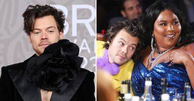 Harry Styles’ Inner Circle: Stevie Nicks, Lizzo and More Famous Friends - www.usmagazine.com - Britain - county Stone