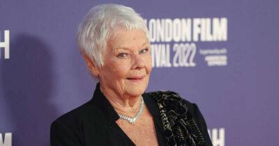 Dame Judi Dench shares heartbreaking health update with fans: ‘acting has become impossible’ - www.msn.com - Britain