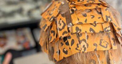 Sir Rod Stewart shares picture of himself with leopard print foils in hair - www.dailyrecord.co.uk - Las Vegas - state Nevada