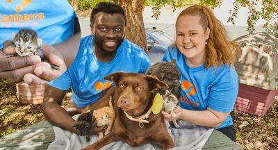 Help these animals find their forever home - www.newidea.com.au - city Canberra