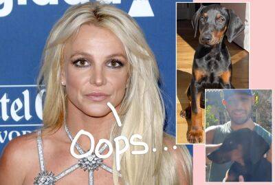 Britney Spears & Sam Asghari Busted By Animal Control After Their Doberman Attacks Old Man On A Bike! - perezhilton.com - Los Angeles - California