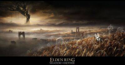 Elden Ring DLC Shadow of the Erdtree officially in development - www.manchestereveningnews.co.uk - Japan