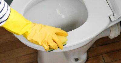 Mrs Hinch fans share 'best' way to clean toilet and remove limescale without bleach - www.dailyrecord.co.uk - Beyond