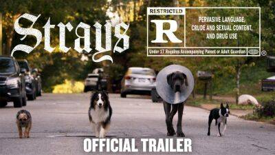 ‘Strays’ NSFW Trailer: Will Ferrell, Jamie Foxx & More Voice Dogs In This Raunchy, R-Rated Take On ‘Homeward Bound’ - theplaylist.net