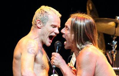 Watch Iggy Pop and Red Hot Chili Peppers’ Flea in conversation in new mini-documentary - www.nme.com - Chad