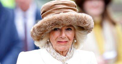 Camilla's special Coronation plan for grandchildren after Archie and Lilibet 'snub' - www.ok.co.uk - Iceland