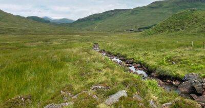 Boost for upper Teith catchment restoration scheme with £67k grant - www.dailyrecord.co.uk - Scotland