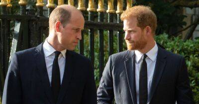 Prince William gave 'barrier gesture' towards Harry that proved rift, says expert - www.dailyrecord.co.uk