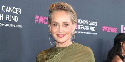 Sharon Stone Says She Lost 'Half' Her Money Amid 'Bank Thing' - www.justjared.com - county Stone